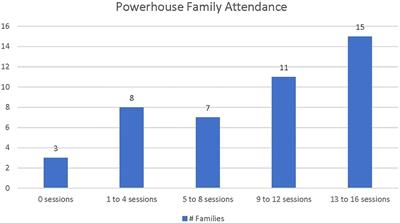 A co-designed, community-based intensive health behavior intervention promotes participation and engagement in youth with risk factors for type 2 diabetes